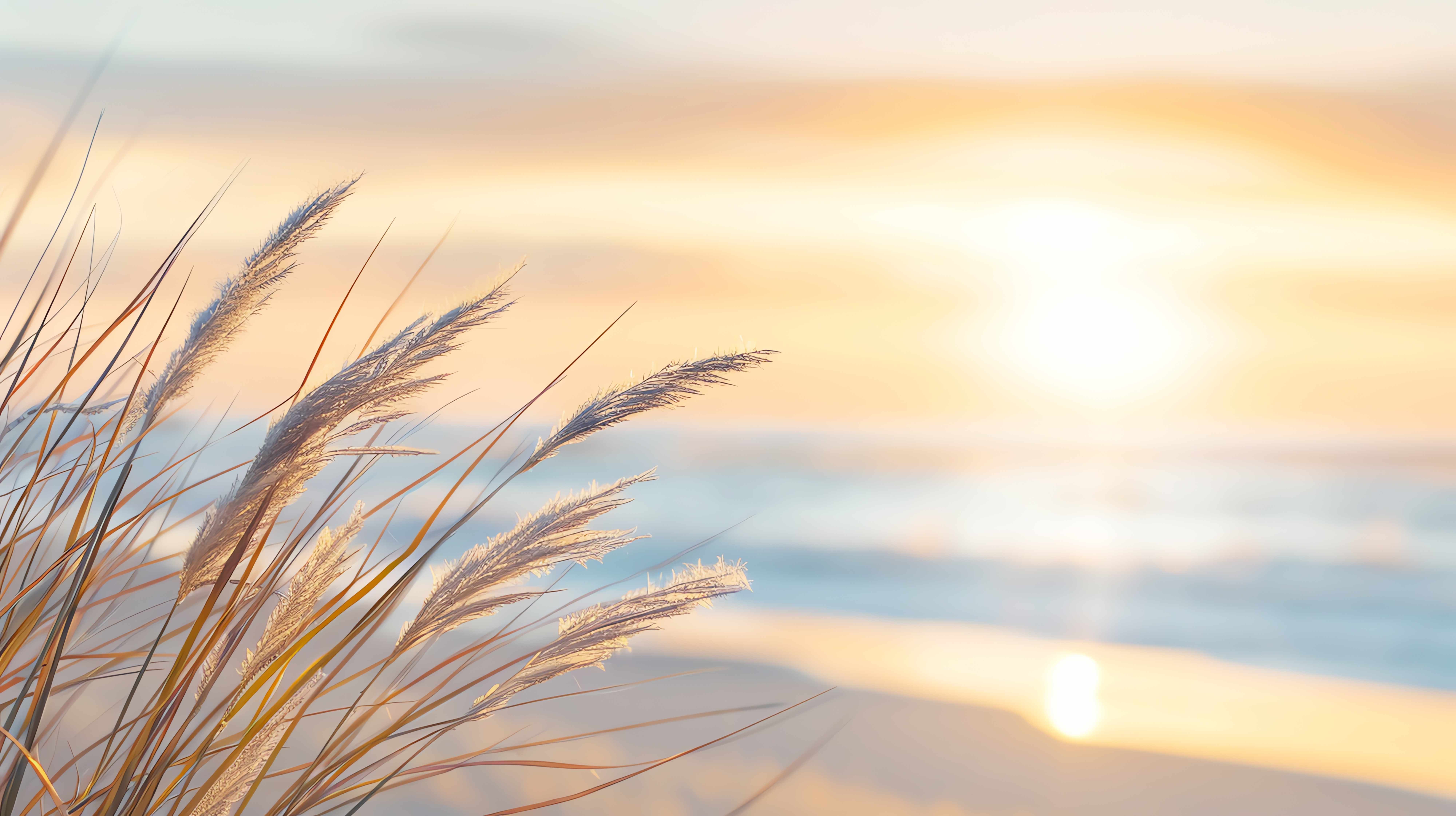 [Audio] Ejercicio de Relajación: Respiración diafragmática y relajación progresiva